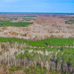 Aerial overview of property's location