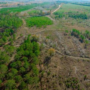 Aerial view of property and surrounding area featu