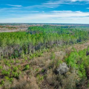 Drone / aerial view of a heavily wooded area