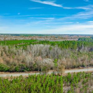 Aerial view of a heavily wooded area