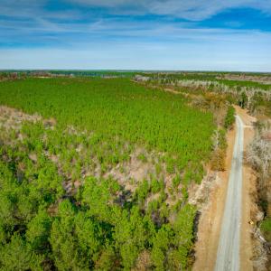 View of rural area featuring farmland