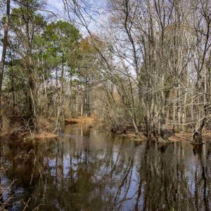 Water view with a heavily wooded area