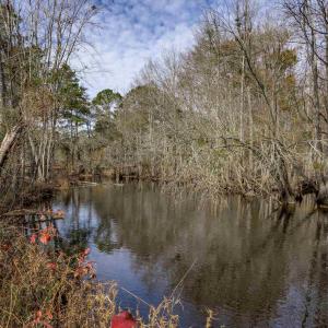 Water view with a heavily wooded area