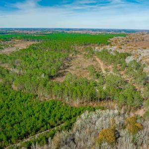 Aerial view of property and surrounding area with