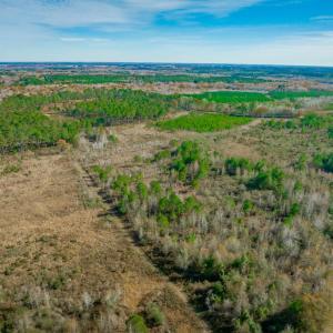 View of property location