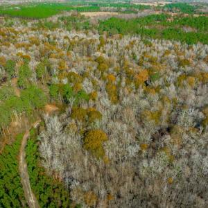 Aerial view of property and surrounding area with