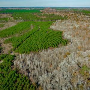 Aerial view of property and surrounding area