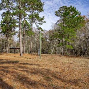 View of undeveloped land