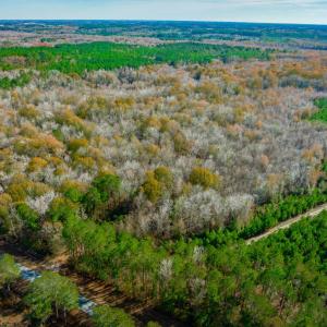 View of property location with a heavily wooded ar