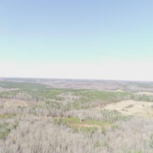 Aerial view of a heavily wooded area