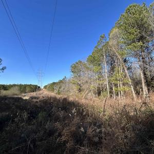View of undeveloped land