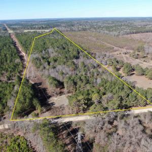 Aerial view of sparsely populated area with proper
