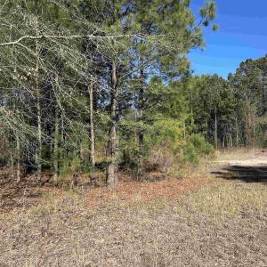 Photo #1 of 1433 Clyde School Rd., Mcbee, SC 32.5 acres