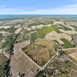 Aerial view of property's location with rows of cr
