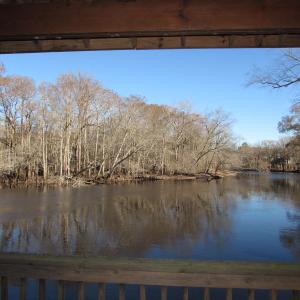 View of the river from the gazebo