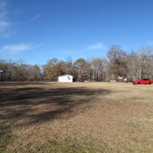 View from inside the fence and towards the river