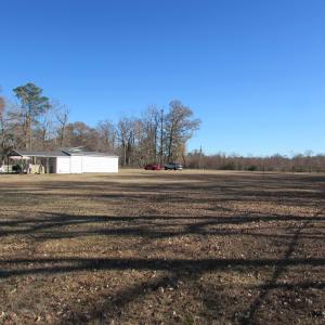 View from inside the fence and towards the river a