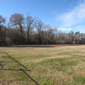 View from inside the fence and towards the river