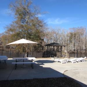Photo #28 of 3429 River Rd., Nichols, SC 1.1 acres