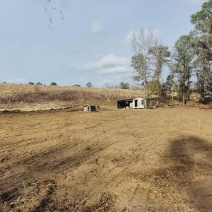 View of yard featuring a rural view and an outdoor