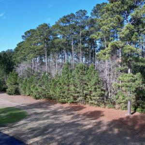 Photo #7 of 10 Lots - Dragooon Ct., Georgetown, SC 2.8 acres