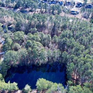 Photo #8 of 10 Lots - Dragooon Ct., Georgetown, SC 2.8 acres