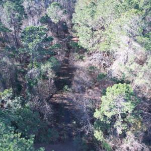 Photo #13 of 10 Lots - Dragooon Ct., Georgetown, SC 2.8 acres