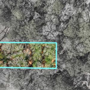 Photo #3 of 510 30th Ave. S, Atlantic Beach, SC 0.2 acres