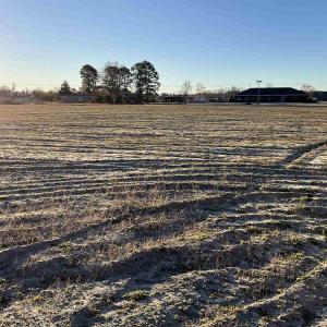 View of yard featuring a view of rural / pastoral