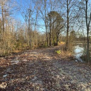 Photo #14 of TBD Senator Gasque Hwy., Mullins, SC 16.2 acres