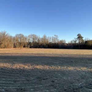 View of yard with a view of rural / pastoral area