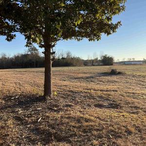 View of yard featuring a view of rural / pastoral
