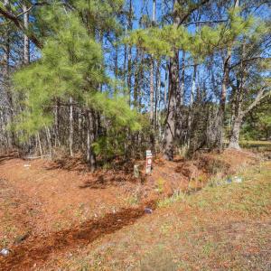 View of undeveloped land