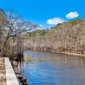 Dock with a water view and a view of trees