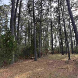 Photo #11 of TBD Georgetown Hwy., Andrews, SC 1.5 acres