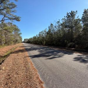 View of asphalt street with a forest view
