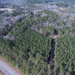 Photo #11 of 31.40 Acres-TBD Pennyroyal Rd., Georgetown, SC 31.4 acres