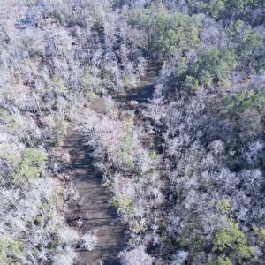 Photo #15 of 31.40 Acres-TBD Pennyroyal Rd., Georgetown, SC 31.4 acres