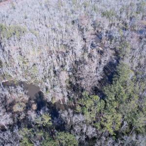 Photo #17 of 31.40 Acres-TBD Pennyroyal Rd., Georgetown, SC 31.4 acres
