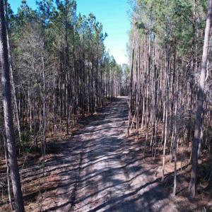 Photo #9 of 31.40 Acres-TBD Pennyroyal Rd., Georgetown, SC 31.4 acres