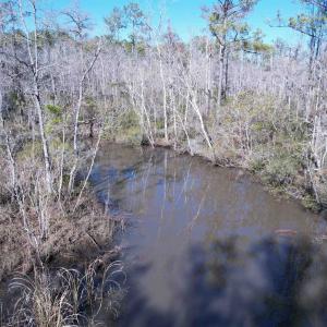 Photo #18 of 31.40 Acres-TBD Pennyroyal Rd., Georgetown, SC 31.4 acres