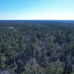 Photo #19 of 31.40 Acres-TBD Pennyroyal Rd., Georgetown, SC 31.4 acres