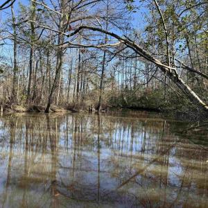 Photo #7 of 31.40 Acres-TBD Pennyroyal Rd., Georgetown, SC 31.4 acres