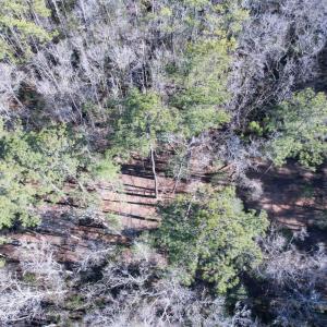 Photo #16 of 31.40 Acres-TBD Pennyroyal Rd., Georgetown, SC 31.4 acres