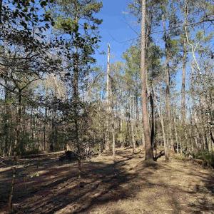 Photo #25 of 31.40 Acres-TBD Pennyroyal Rd., Georgetown, SC 31.4 acres