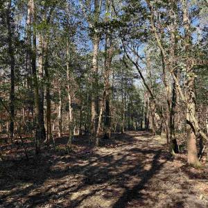 Photo #24 of 31.40 Acres-TBD Pennyroyal Rd., Georgetown, SC 31.4 acres