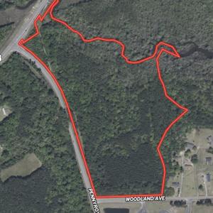 Photo #27 of 31.40 Acres-TBD Pennyroyal Rd., Georgetown, SC 31.4 acres