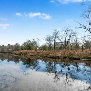 Photo #1 of TBD Reds Landing Rd., Andrews, SC 21.8 acres