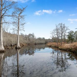 Photo #17 of TBD Reds Landing Rd., Andrews, SC 21.8 acres