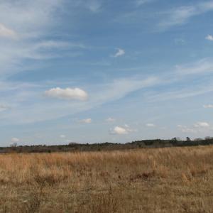 Photo #7 of Keystone Rd., Dalzell, SC 32.0 acres